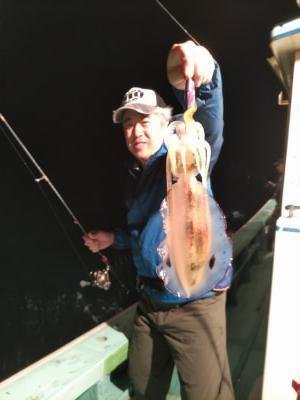 アオリ(アオリイカ)