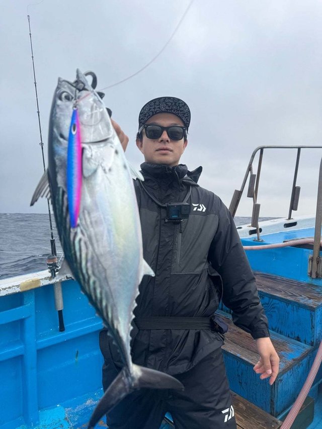 スマガツオ(スマ)