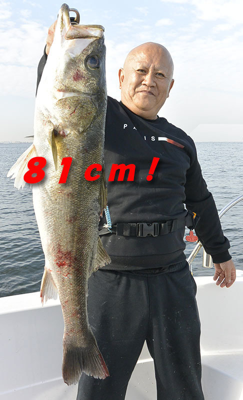 シーバス(スズキ)