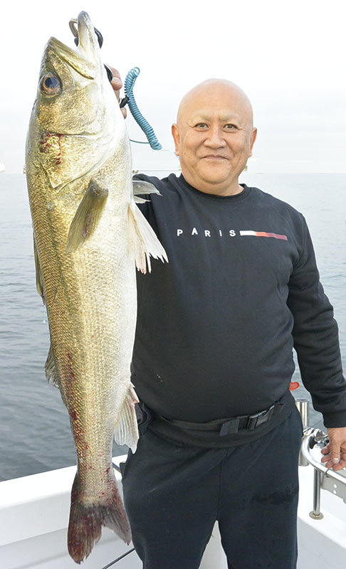 シーバス(スズキ)