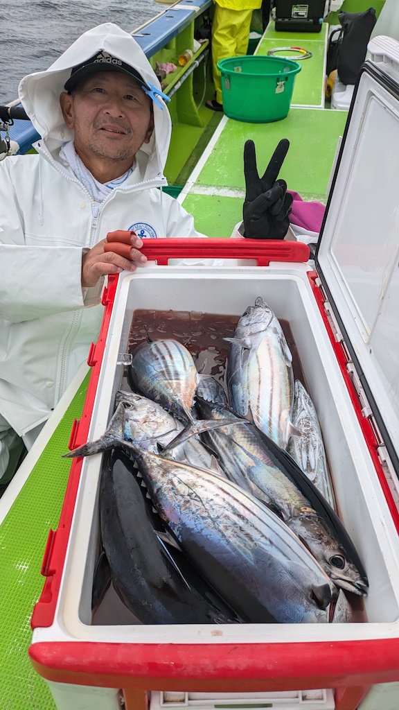 キハダマグロ(キハダ)・カツオ