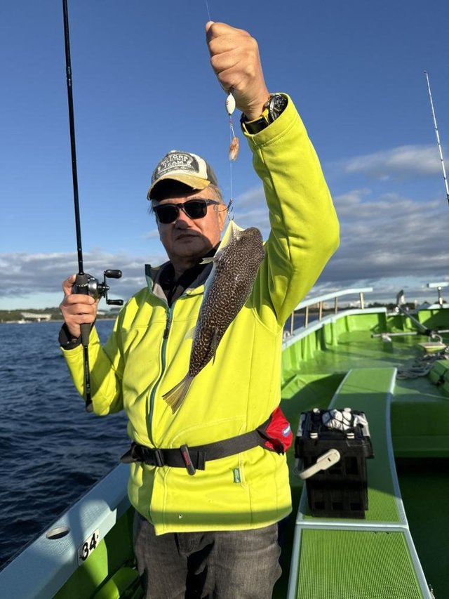 フグ(ショウサイフグ)