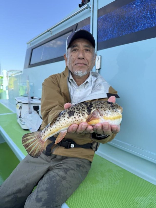 フグ(アカメフグ)