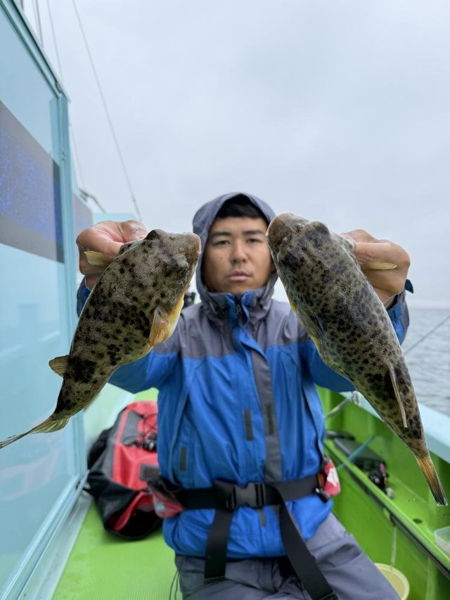 フグ(アカメフグ)