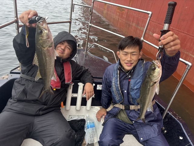 シーバス(スズキ)