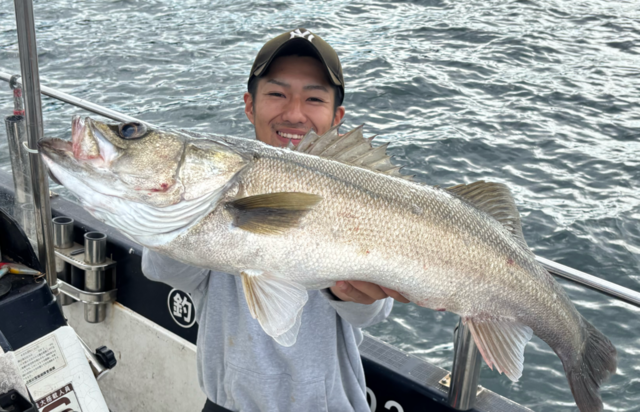 シーバス(スズキ)