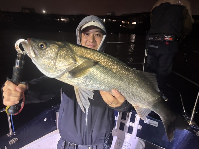 シーバス(スズキ)