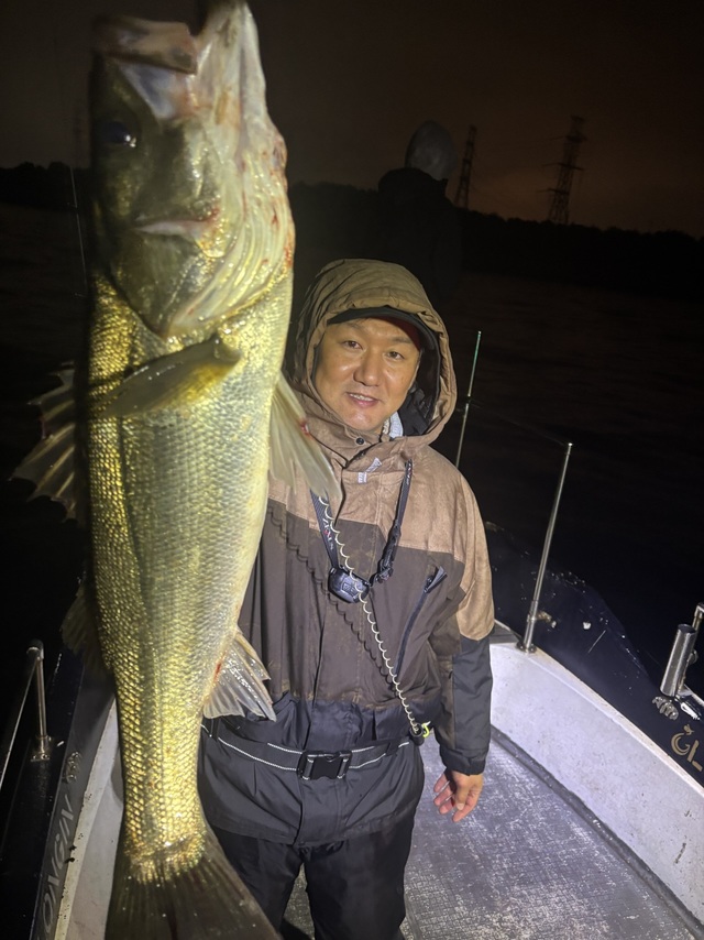 シーバス(スズキ)