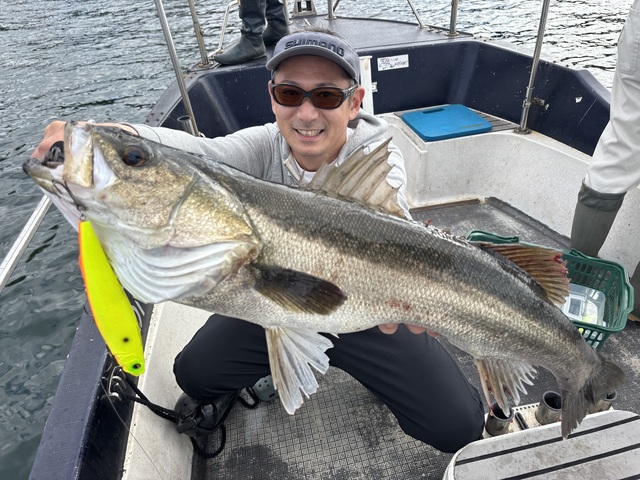 シーバス(スズキ)