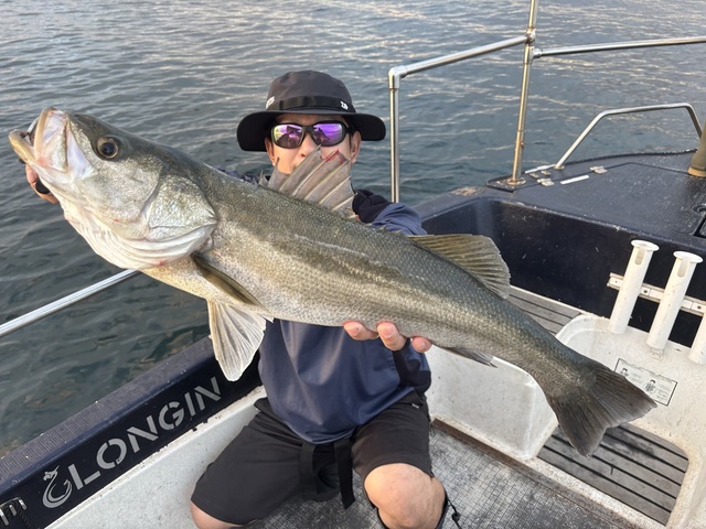 シーバス(スズキ)