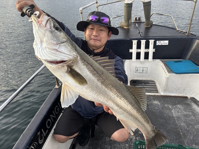 シーバス(スズキ)