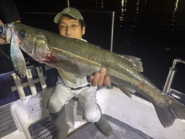 シーバス(スズキ)