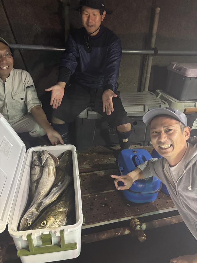 シーバス(スズキ)