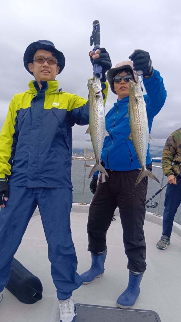 サゴシ(サワラ)