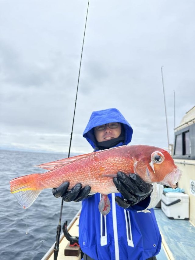 アマダイ(アカアマダイ)