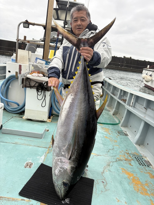 キハダマグロ(キハダ)