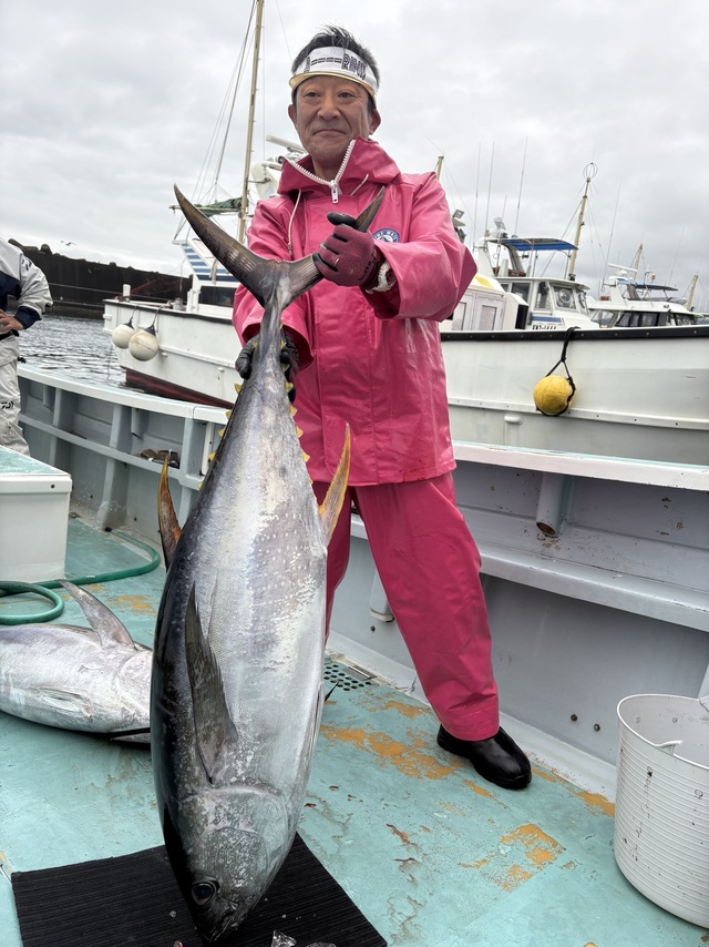 キハダマグロ(キハダ)