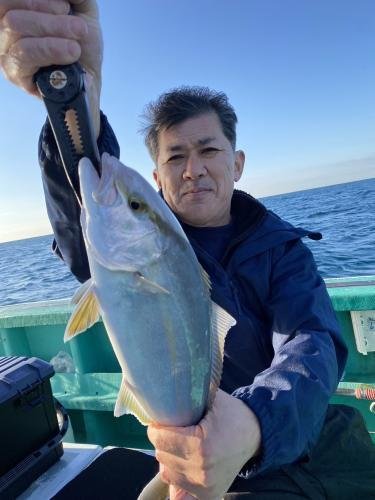 ショゴ(カンパチ)