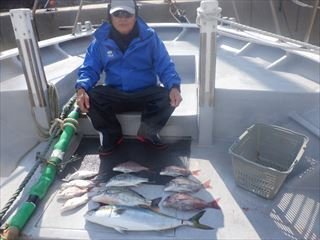 マダイ・イナダ(ブリ)