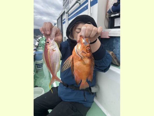 イトヨリ(イトヨリダイ)・キントキダイ