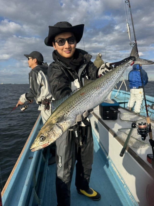 サゴシ(サワラ)