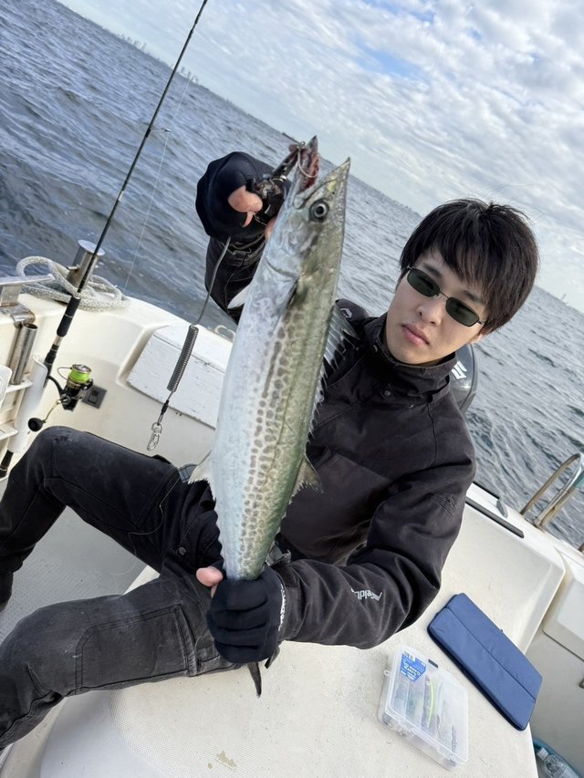 サゴシ(サワラ)