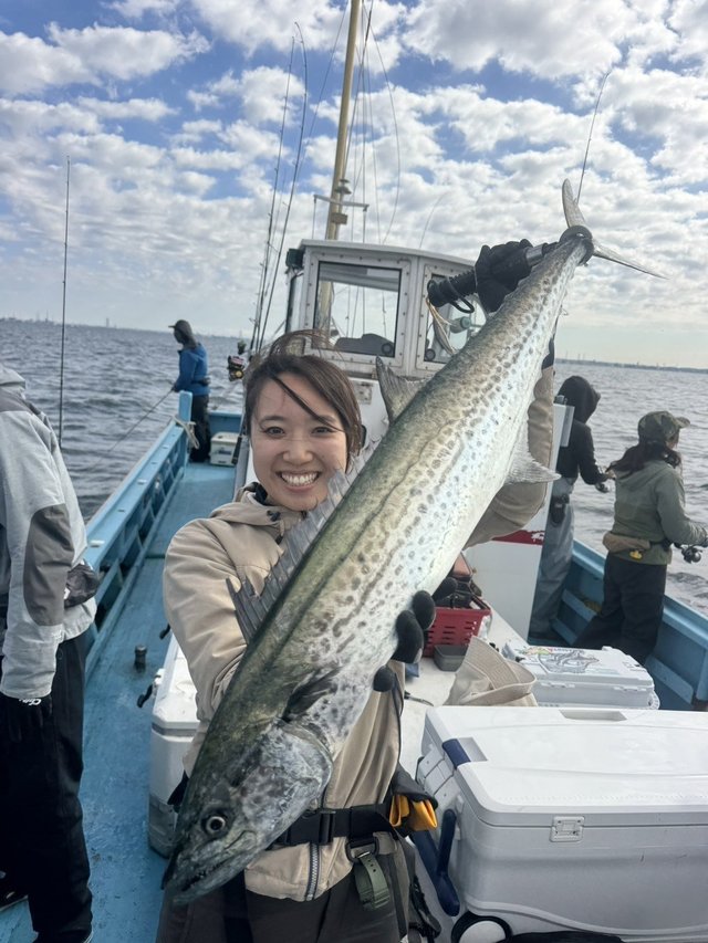 サゴシ(サワラ)