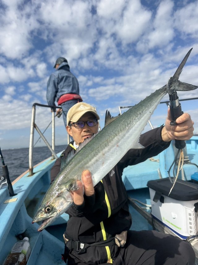 サゴシ(サワラ)