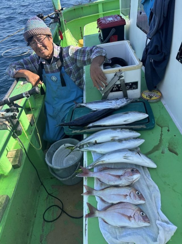 タイ(マダイ)・イナダ(ブリ)・カツオ