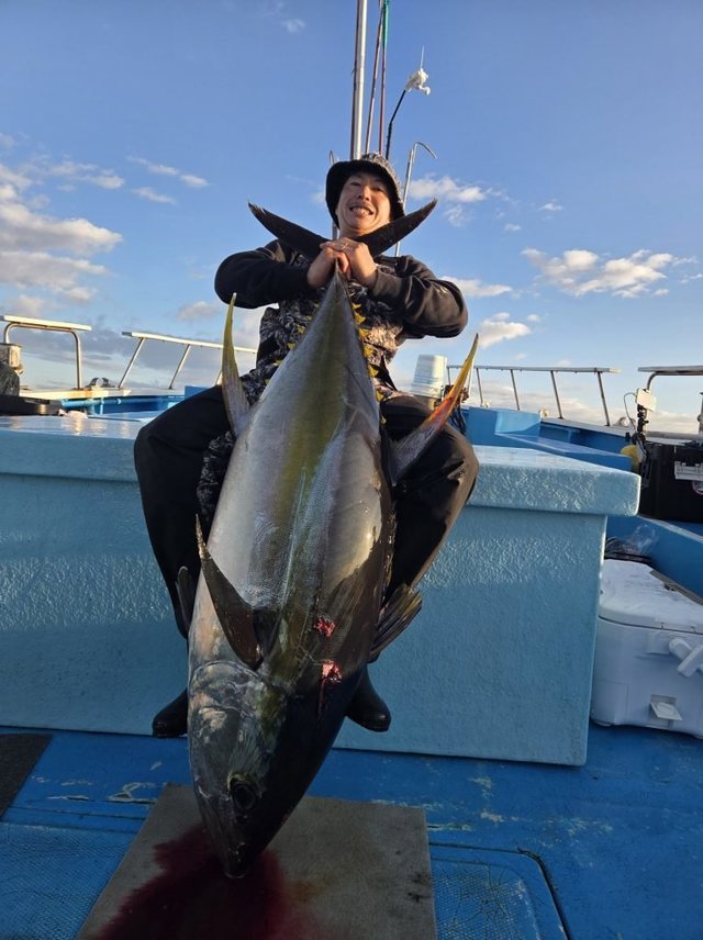 キハダマグロ(キハダ)