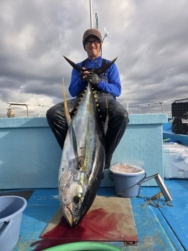 キハダマグロ(キハダ)