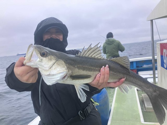 シーバス(スズキ)