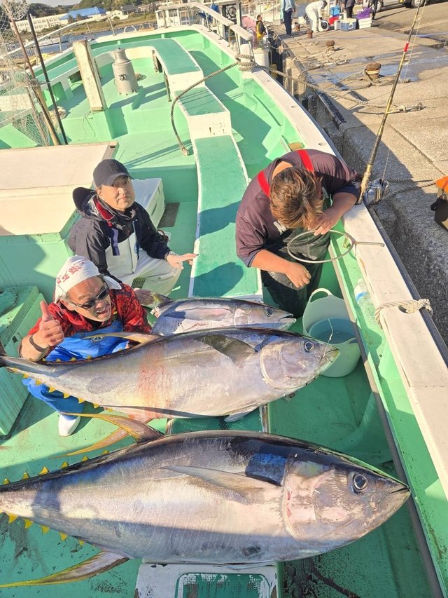 マグロ(キハダ)