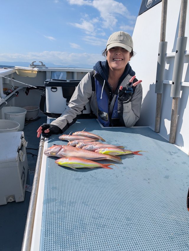 イトヨリ(イトヨリダイ)