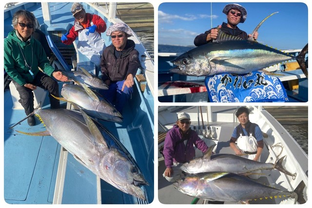 キハダマグロ(キハダ)