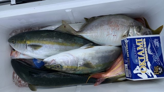 イナダ(ブリ)・カンパチ