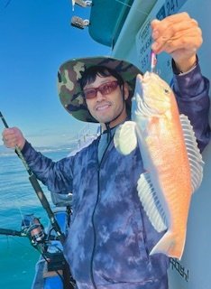 アマダイ(アカアマダイ)