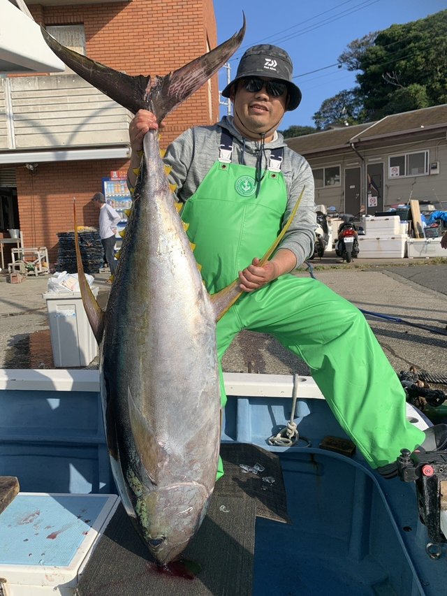 キハダマグロ(キハダ)