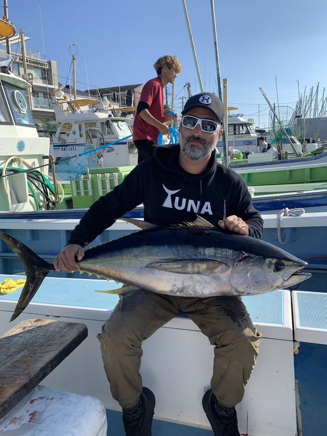 キハダマグロ(キハダ)