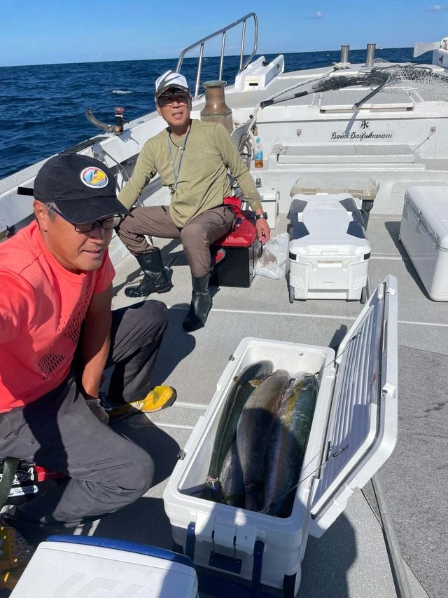 ヤズ(ブリ)・ヒラマサ