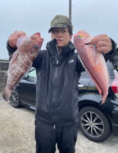 マハタ・アマダイ(アカアマダイ)