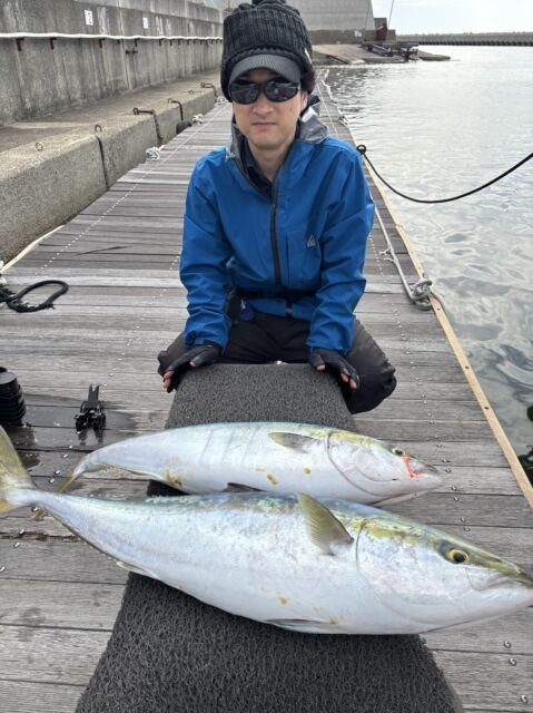 ブリ・メジロ(ブリ)