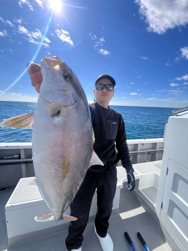 ショウゴ(カンパチ)