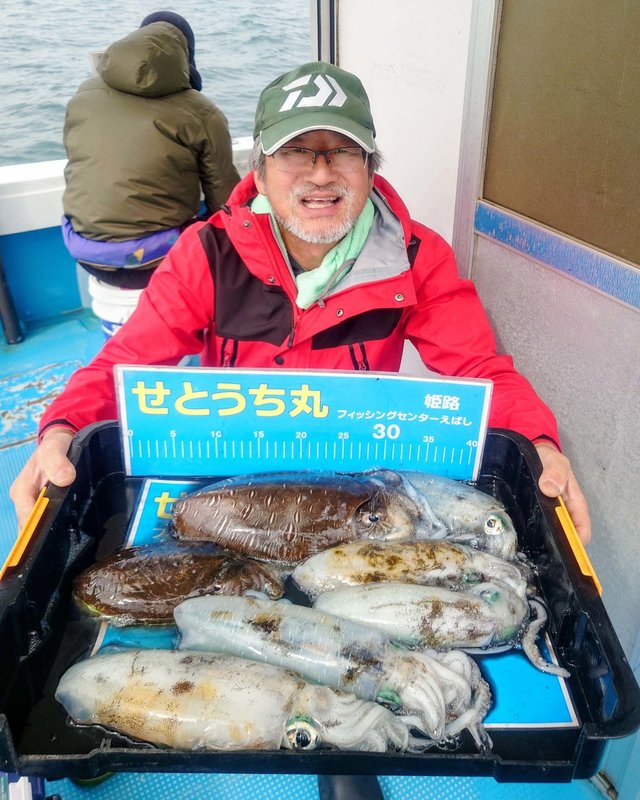 アオリイカ・モンゴウイカ(カミナリイカ)