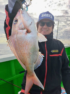 ハナダイ(チダイ)