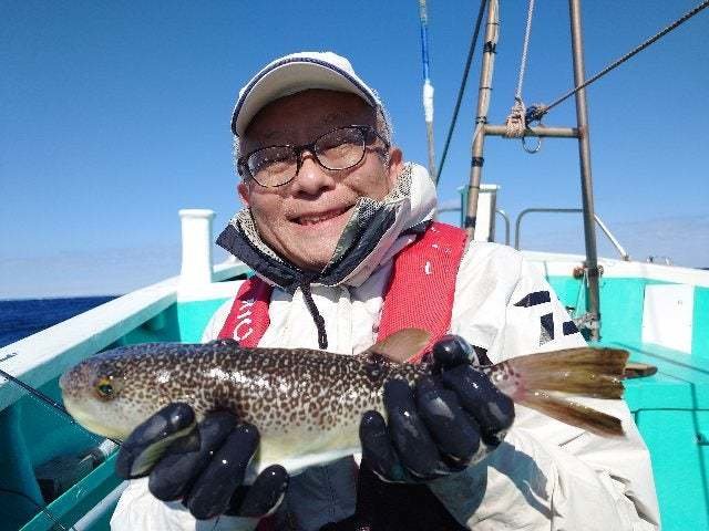 ショウサイフグ