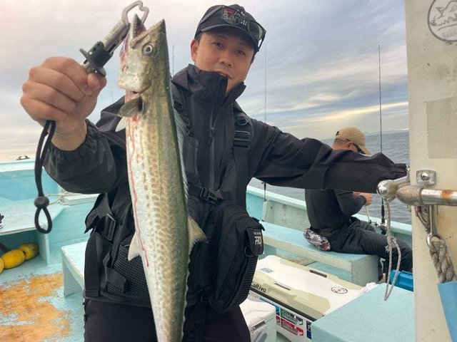 サゴシ(サワラ)