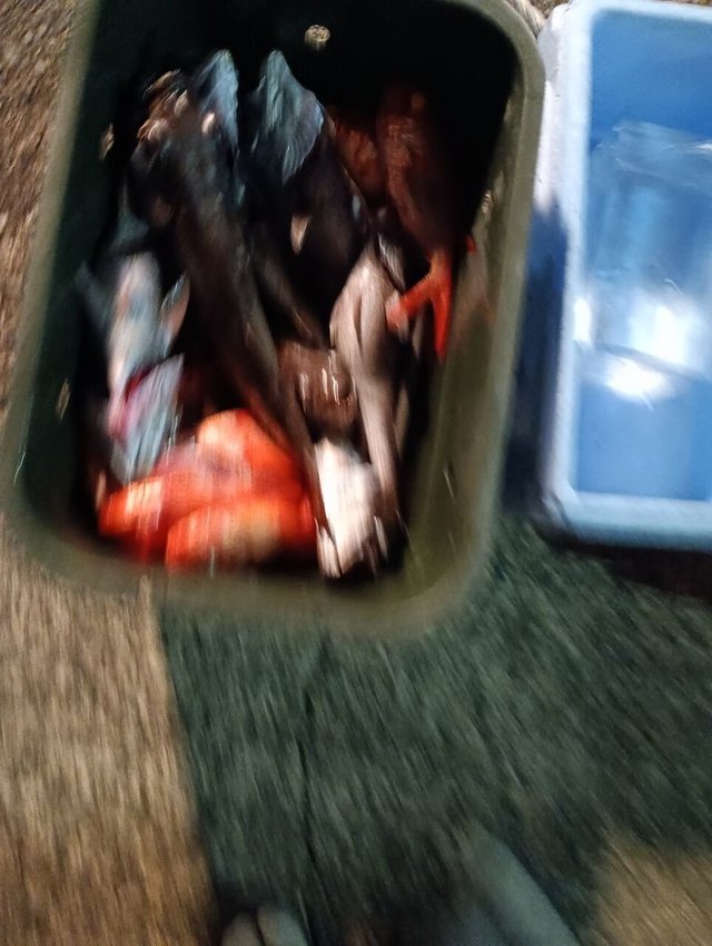 クロムツ・キンメ(キンメダイ)