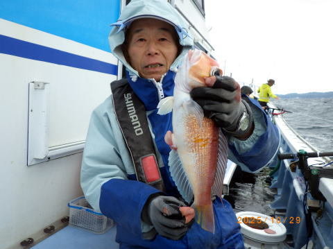 アマダイ(アカアマダイ)