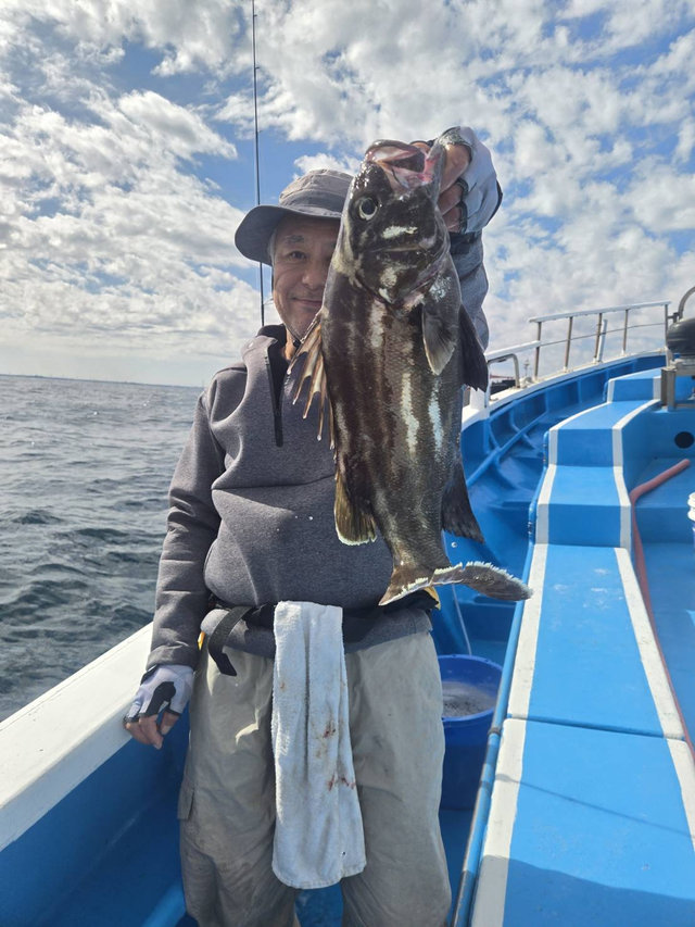 イシナギ(オオクチイシナギ)